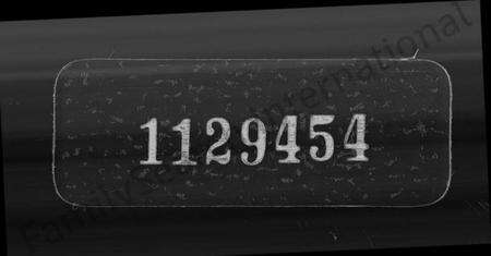 浙江叶氏族谱-新州叶氏家乘.pdf电子版缩略图