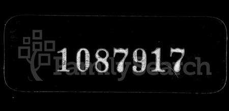 浙江叶氏族谱-新州叶氏家谱.pdf电子版缩略图