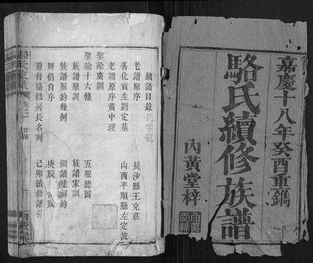 湖南骆氏族谱-骆氏家乘.pdf电子版预览图1