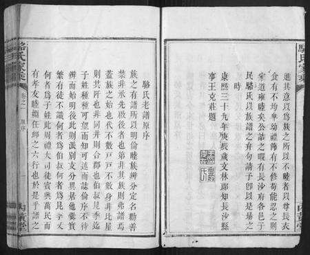 湖南骆氏族谱-骆氏家乘.pdf电子版预览图5