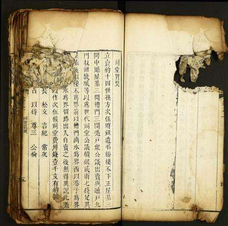 湖北方氏族谱-方氏族谱.pdf电子版预览图5