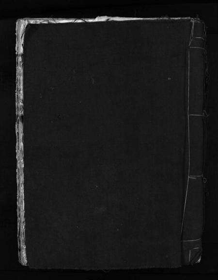 浙江陈氏族谱-智广陈氏宗谱 [不分卷].pdf电子版预览图1