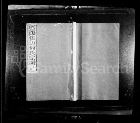 浙江何氏族谱-暨阳佳山何氏宗谱 [10卷].pdf电子版预览图1