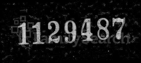 浙江赵氏族谱-暨阳南门赵氏宗谱.pdf电子版缩略图