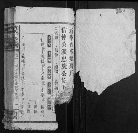 湖南蒋氏族谱-蒋氏三修族谱.pdf电子版预览图1