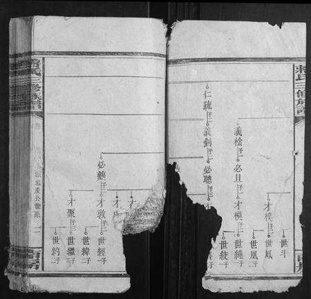 湖南蒋氏族谱-蒋氏三修族谱.pdf电子版预览图2