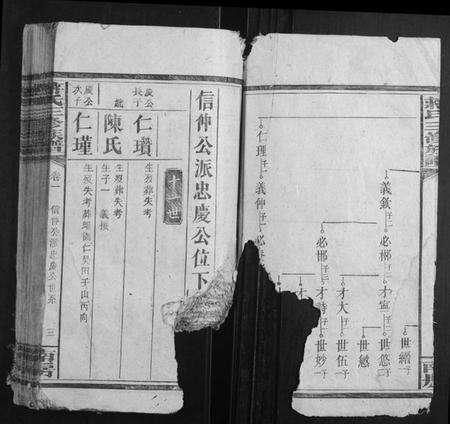 湖南蒋氏族谱-蒋氏三修族谱.pdf电子版预览图3