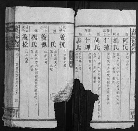 湖南蒋氏族谱-蒋氏三修族谱.pdf电子版预览图4