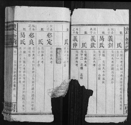 湖南蒋氏族谱-蒋氏三修族谱.pdf电子版预览图5