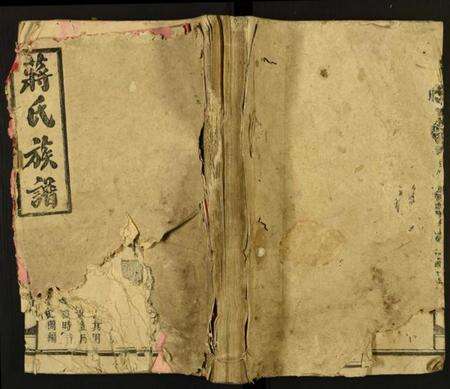 湖南蒋氏族谱-蒋氏族谱.pdf电子版缩略图