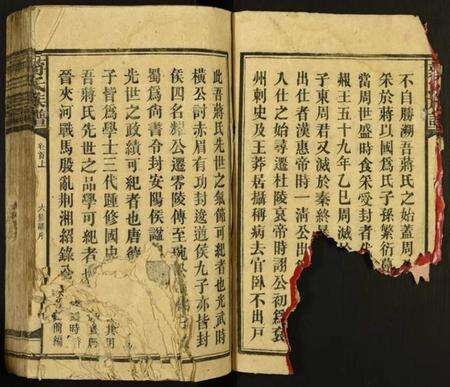 湖南蒋氏族谱-蒋氏族谱.pdf电子版预览图2