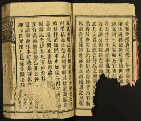 湖南蒋氏族谱-蒋氏族谱.pdf电子版预览图3