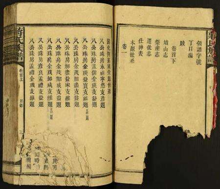 湖南蒋氏族谱-蒋氏族谱.pdf电子版预览图5