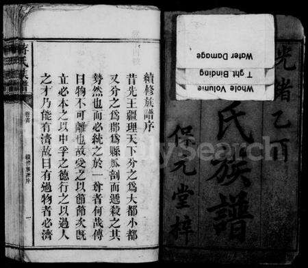 湖南蒋氏族谱-蒋氏族谱 [62卷,首1卷].pdf电子版预览图3