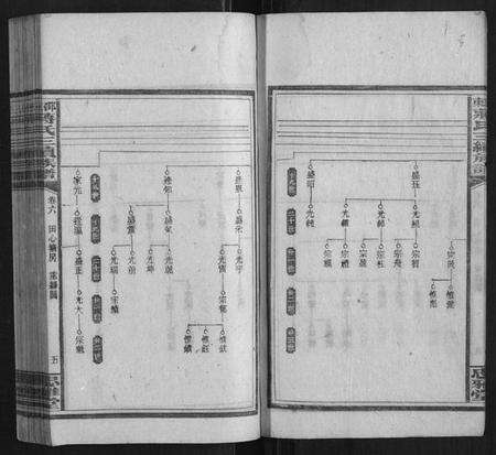 湖南蒋氏族谱-邵东蒋氏三续族谱.pdf电子版预览图5