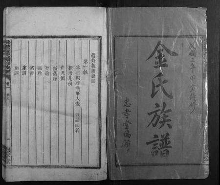 湖南金氏族谱-吴楚金氏续修族谱[8卷].pdf电子版预览图1