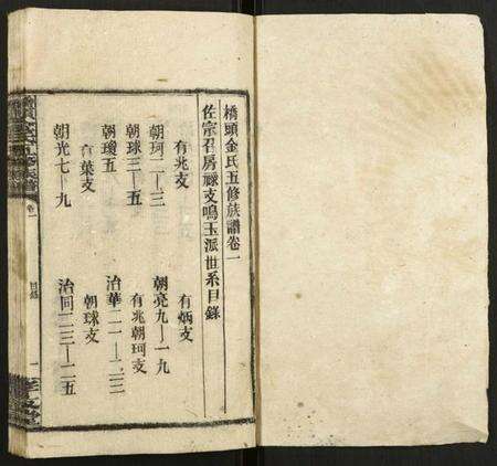 湖南金氏族谱-桥头金氏五修族谱.pdf电子版预览图1