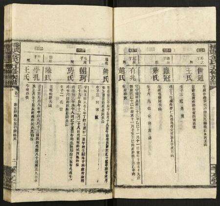 湖南金氏族谱-桥头金氏五修族谱.pdf电子版预览图3