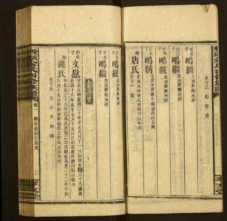 湖南金氏族谱-桥头金氏四修族谱.pdf电子版预览图2