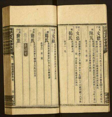 湖南金氏族谱-桥头金氏四修族谱.pdf电子版预览图3