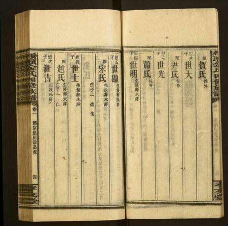 湖南金氏族谱-桥头金氏四修族谱.pdf电子版预览图4