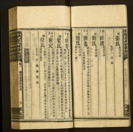 湖南金氏族谱-桥头金氏四修族谱.pdf电子版预览图5