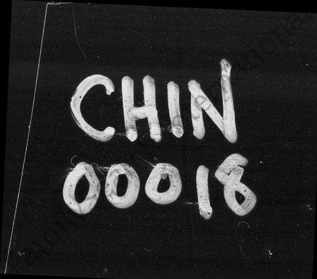 湖南金氏族谱-桥头金氏四修族谱 [首末各2卷].pdf电子版预览图1