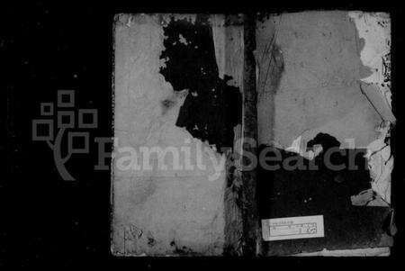 浙江王氏族谱-暨阳紫岩新湖王氏宗谱 [不分卷].pdf电子版预览图1