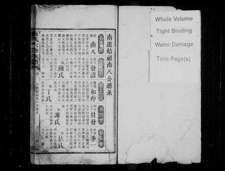 湖南康氏族谱-康氏六修族谱 [卷数不详].pdf电子版预览图2