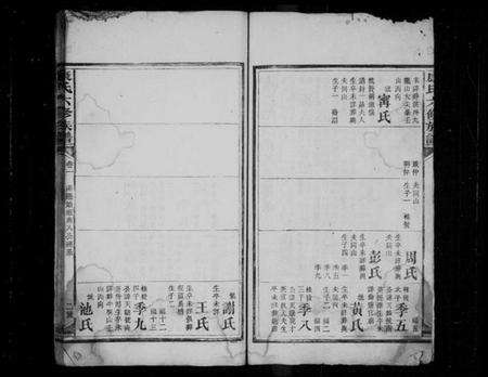 湖南康氏族谱-康氏六修族谱 [卷数不详].pdf电子版预览图4