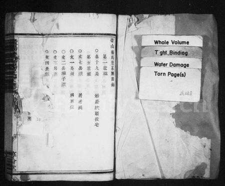 浙江杨氏族谱-暨阳蕾山杨氏宗谱 [40卷].pdf电子版预览图2