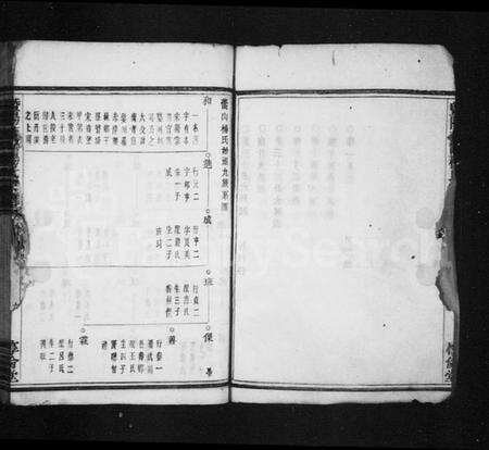 浙江杨氏族谱-暨阳蕾山杨氏宗谱 [40卷].pdf电子版预览图4