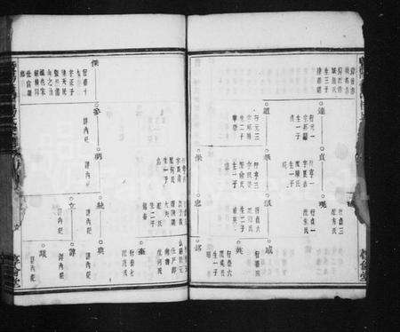 浙江杨氏族谱-暨阳蕾山杨氏宗谱 [40卷].pdf电子版预览图5