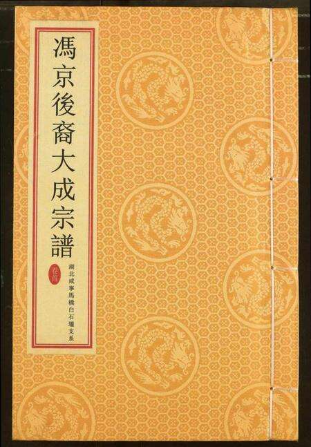 湖北冯氏族谱-冯京后裔大成宗谱.pdf电子版缩略图