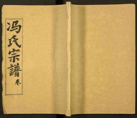 湖北冯氏族谱-冯氏宗谱.pdf电子版缩略图