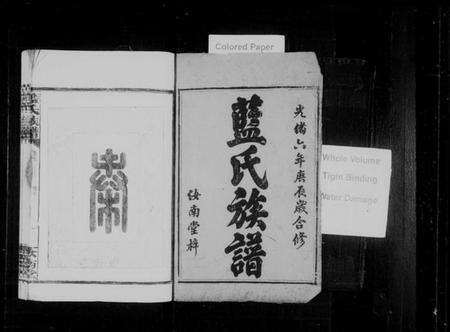 湖南蓝氏族谱-蓝氏族谱 [16卷,首2卷].pdf电子版预览图2