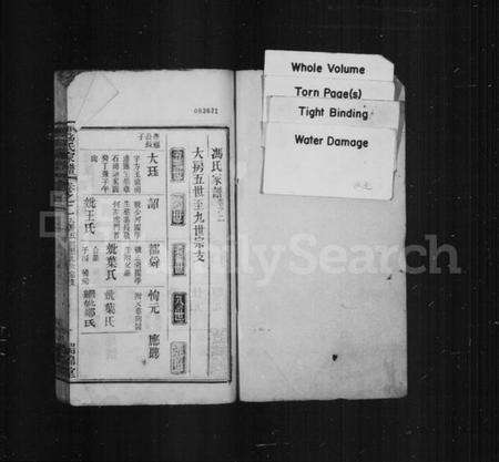 湖北冯氏族谱-冯氏家谱.pdf电子版预览图1