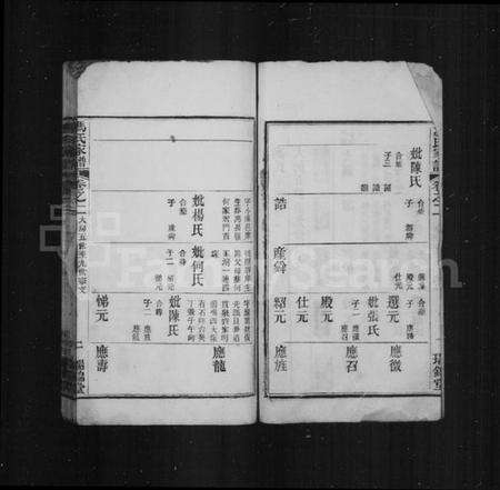 湖北冯氏族谱-冯氏家谱.pdf电子版预览图2