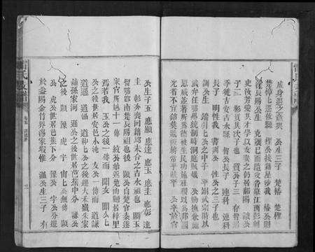 湖南雷氏族谱-雷氏支谱[7卷首1卷].pdf电子版预览图5