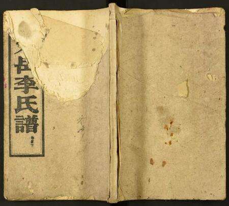 湖南李氏族谱-天岳李氏谱.pdf电子版缩略图