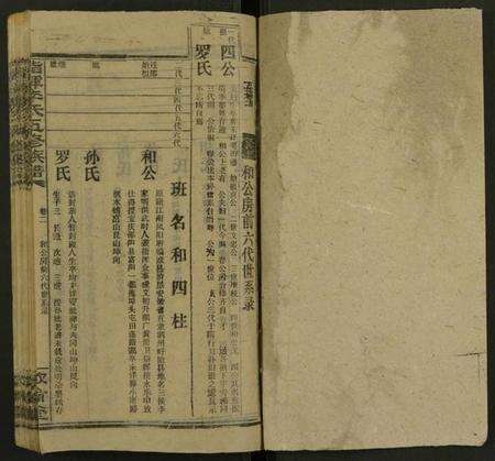 湖南李氏族谱-指挥李氏五修族谱 [存18卷].pdf电子版预览图1