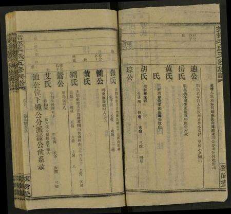 湖南李氏族谱-指挥李氏五修族谱 [存18卷].pdf电子版预览图2