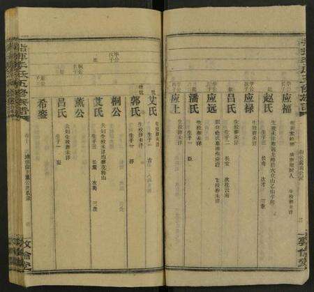 湖南李氏族谱-指挥李氏五修族谱 [存18卷].pdf电子版预览图4