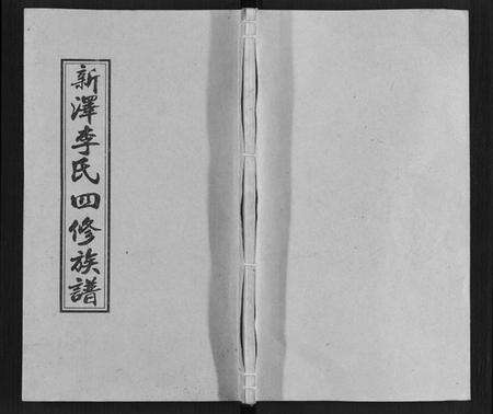 湖南李氏族谱-新泽李氏四修族谱.pdf电子版缩略图