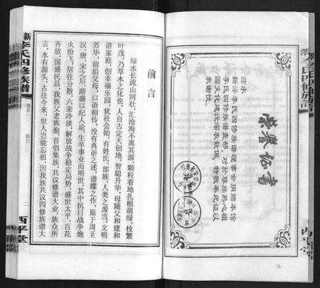 湖南李氏族谱-新泽李氏四修族谱.pdf电子版预览图4