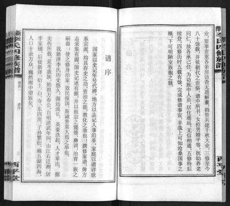 湖南李氏族谱-新泽李氏四修族谱.pdf电子版预览图5