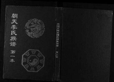 湖南李氏族谱-朝天李氏族谱.pdf电子版缩略图