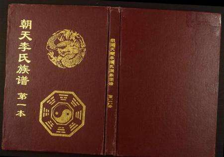 湖南李氏族谱-朝天李氏族谱.pdf电子版缩略图