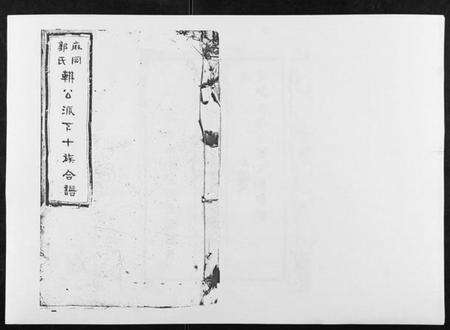 江西郭氏族谱-麻岗郭氏軿公派下十族合谱[19卷].pdf电子版缩略图