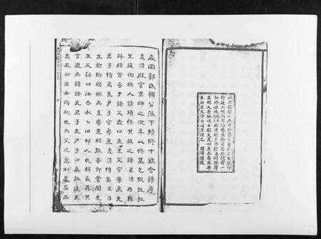 江西郭氏族谱-麻岗郭氏軿公派下十族合谱[19卷].pdf电子版预览图2